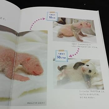 パンダページ 5点おまとめ 愛くるしすぎるイキモノ パンダのすべて (廣済堂ベストムック